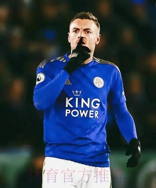 为瓦尔迪找搭档 莱斯特城计划3100万报价约维奇
